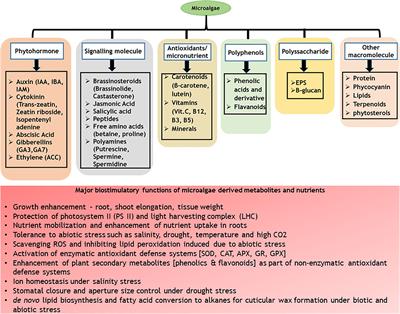 Microalgae as next generation plant growth additives: Functions, applications, challenges and circular bioeconomy based solutions